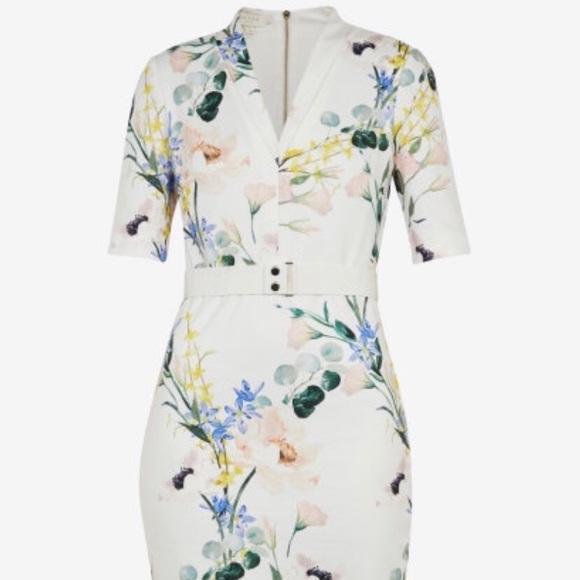 ted baker lylli dress